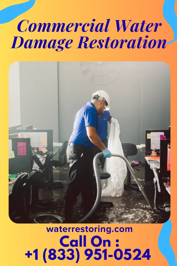 Commercial Water Damage Restoration in Elrosa, MN