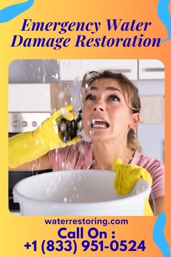 Emergency Water Damage Restoration in Elrosa, MN
