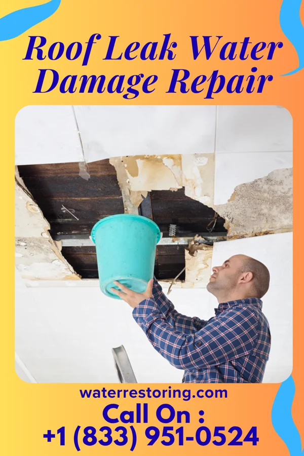 Roof Leak Water Damage Repair in Elrosa, MN
